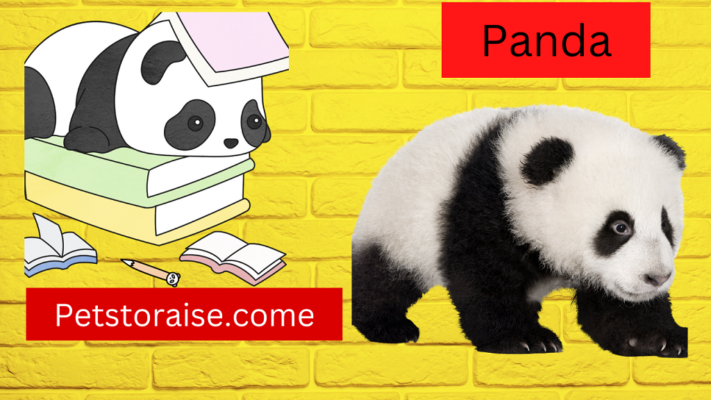 Panda Names