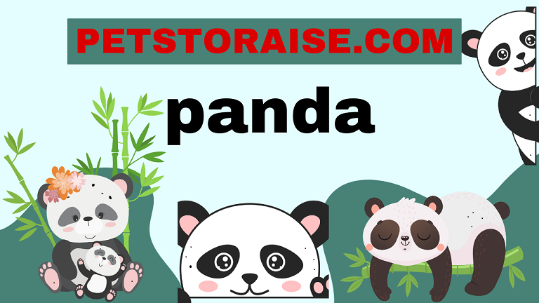 Panda Names