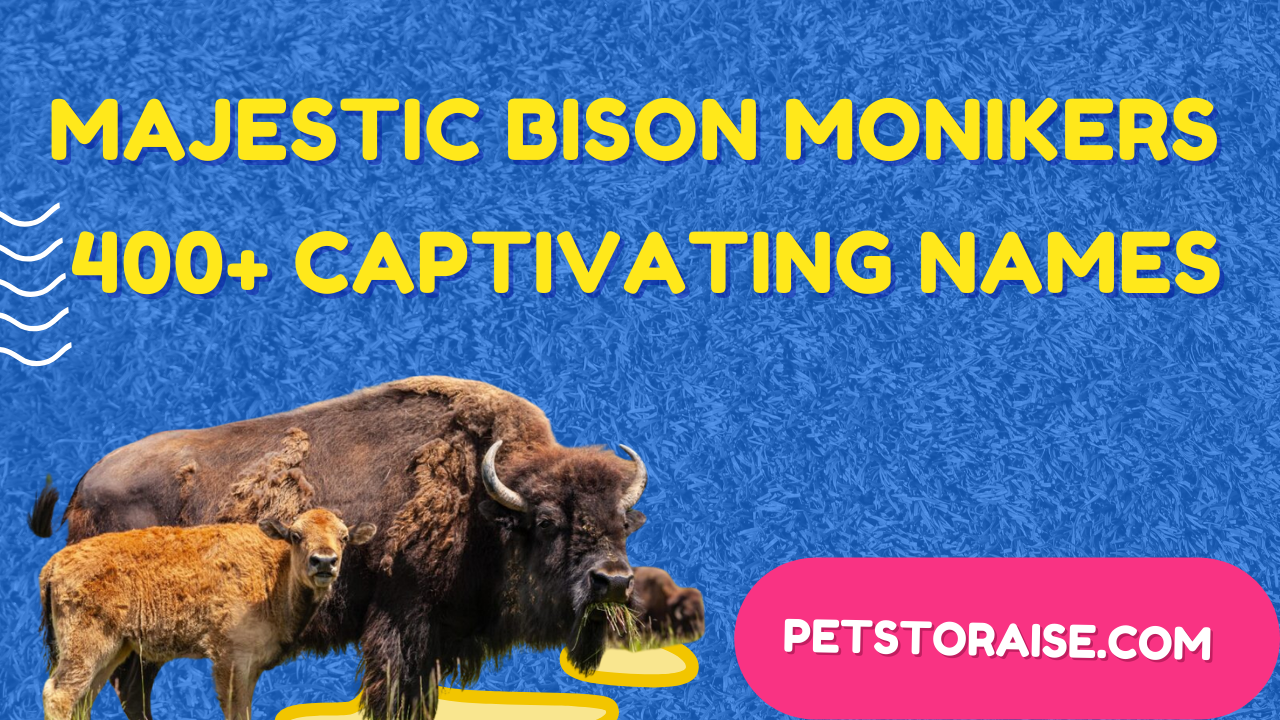 Majestic Bison Monikers