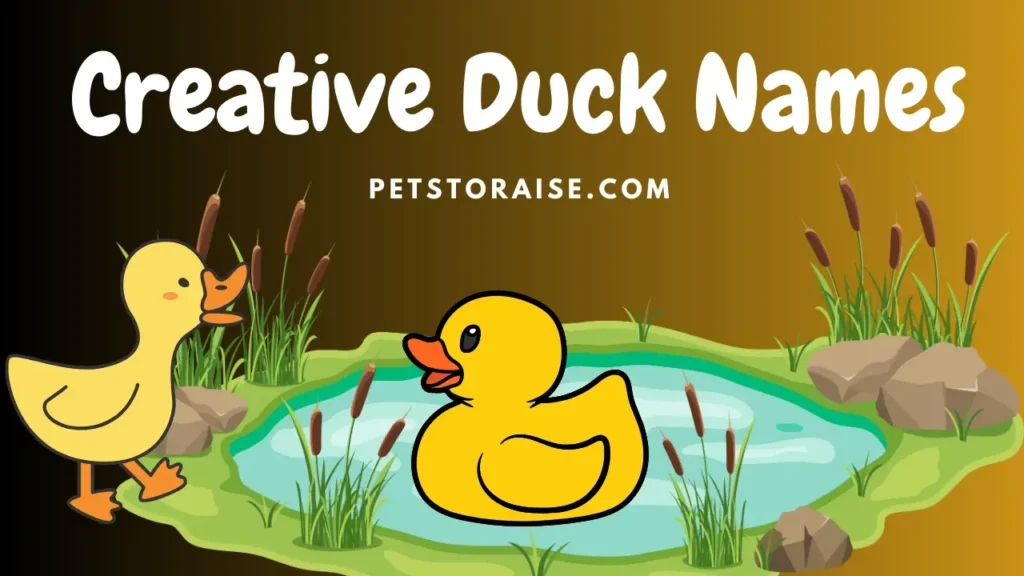 Creative Duck Names