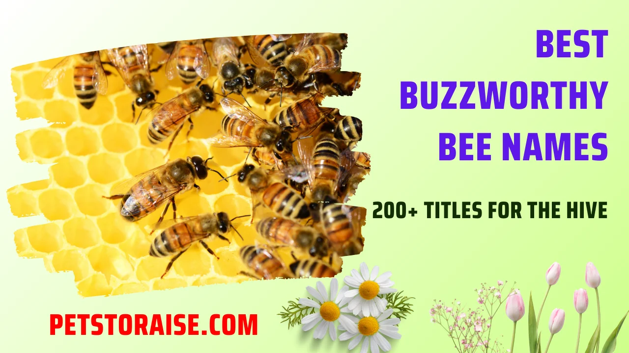 Bee Names