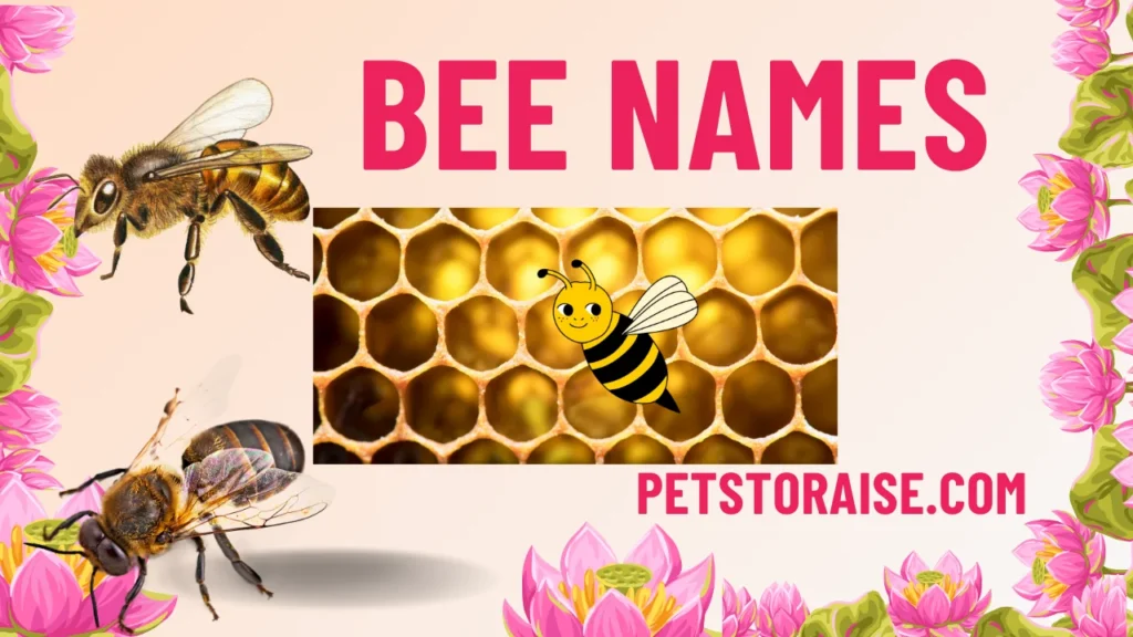 Bee Names