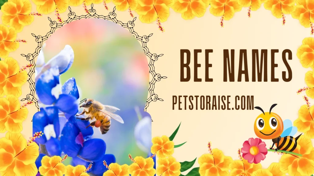 Bee Names