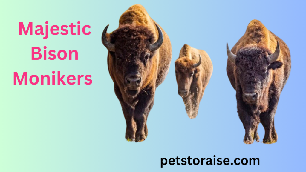 Majestic Bison Monikers