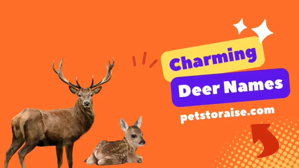 Charming Deer Names