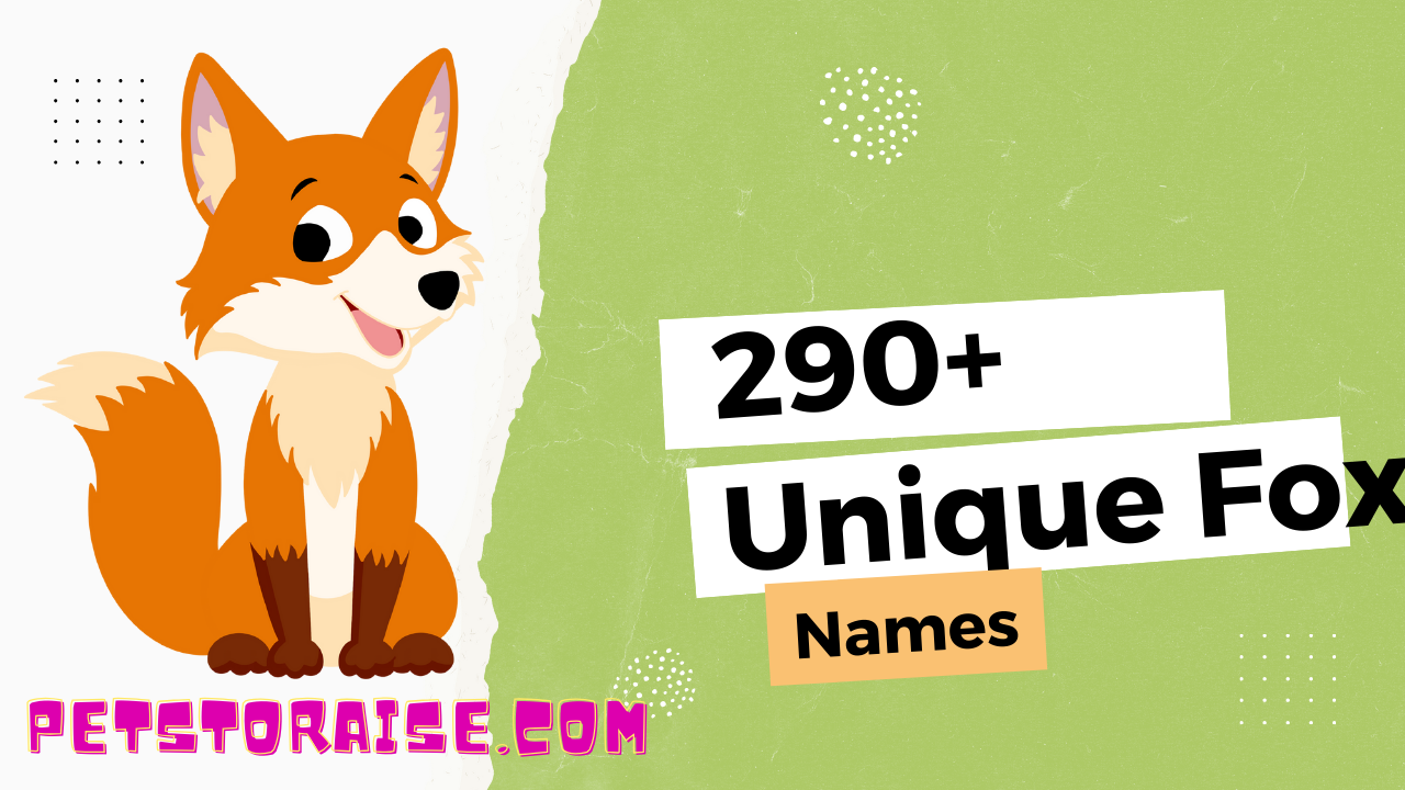 Unique Fox Names