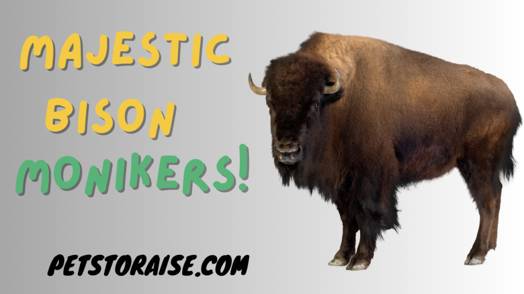 Majestic Bison Monikers