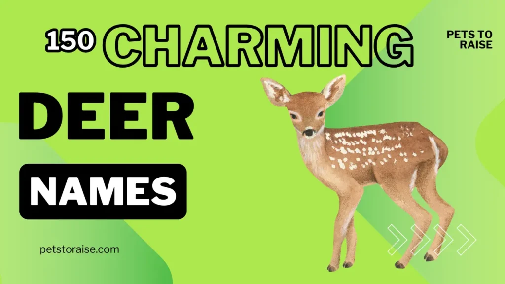 Charming Deer Names