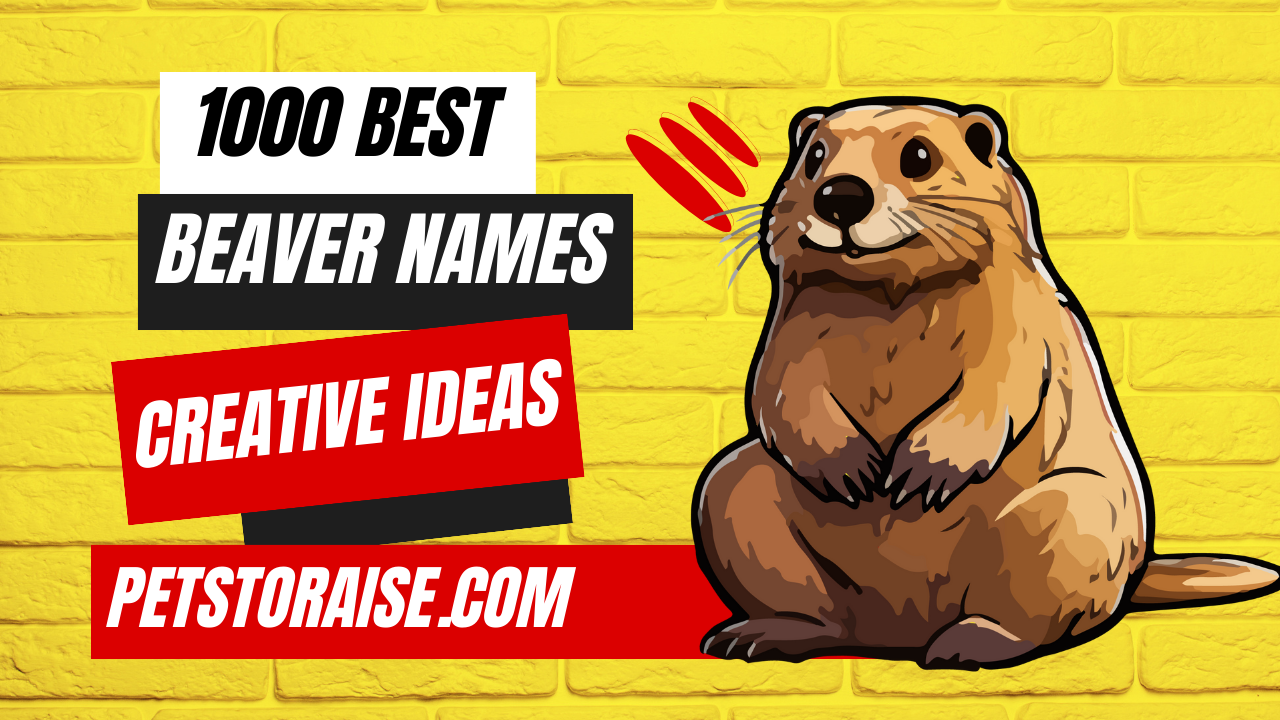 Best Beaver Names