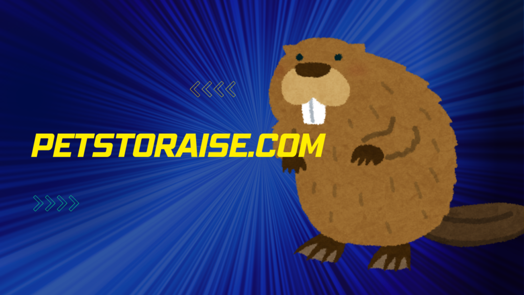 Best Beaver Names