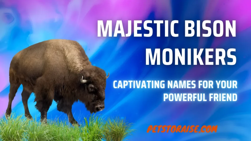 Majestic Bison Monikers