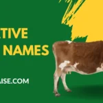 Creative Cow Names