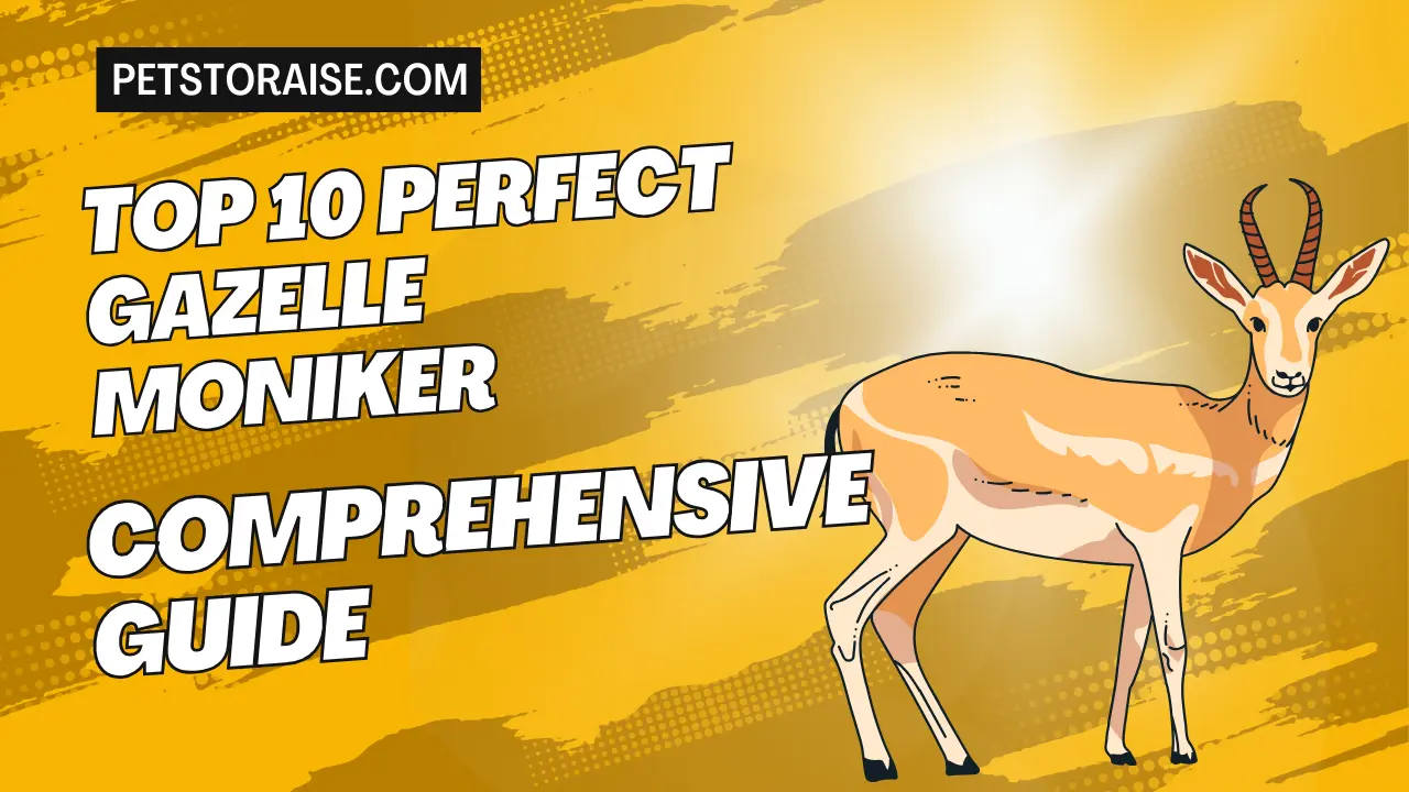 Enchanting Gazelle Monikers