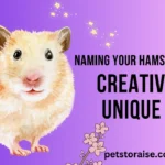 Naming Your Hamster