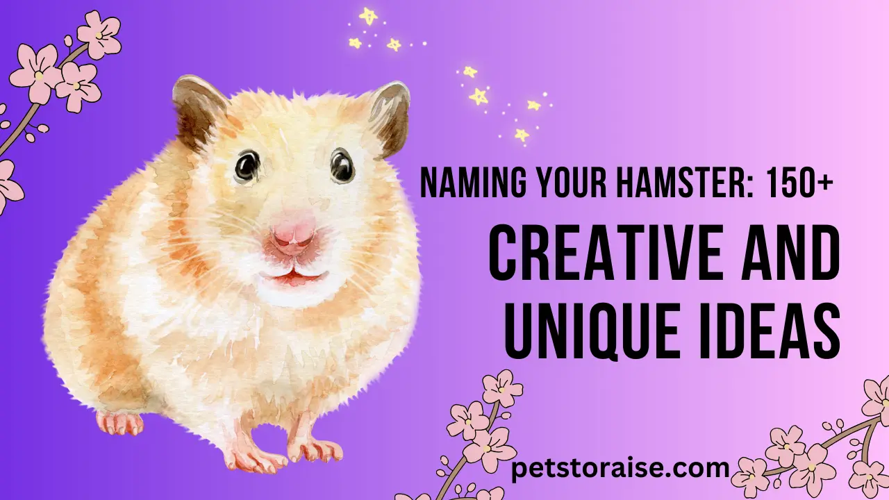 Naming Your Hamster