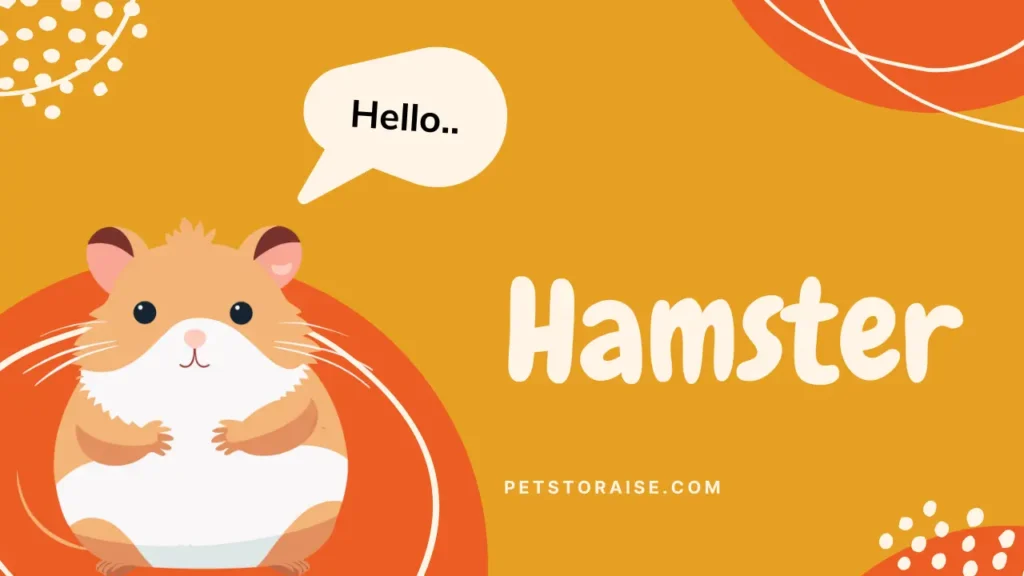 Naming Your Hamster