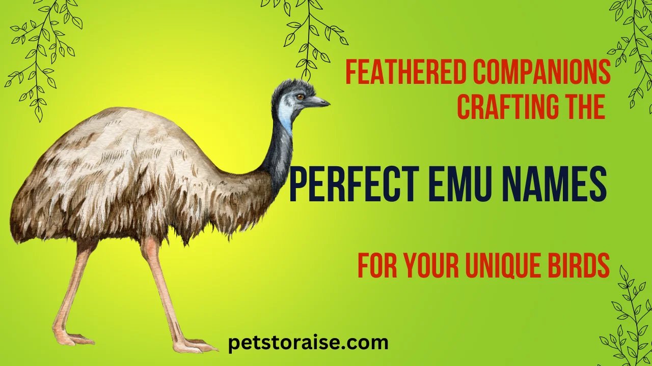 Perfect Emu Names