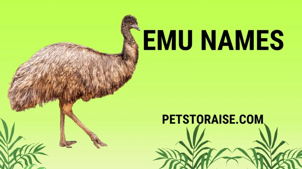 Perfect Emu Names