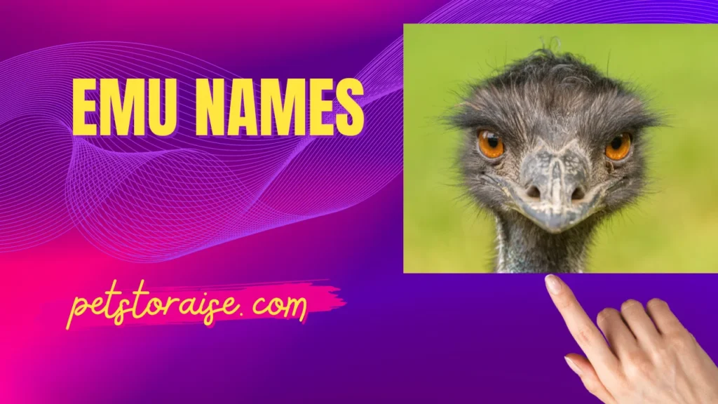 Perfect Emu Names