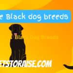 Black Dog Breeds