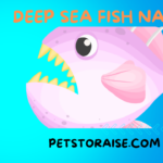 Deep Sea Fish Names