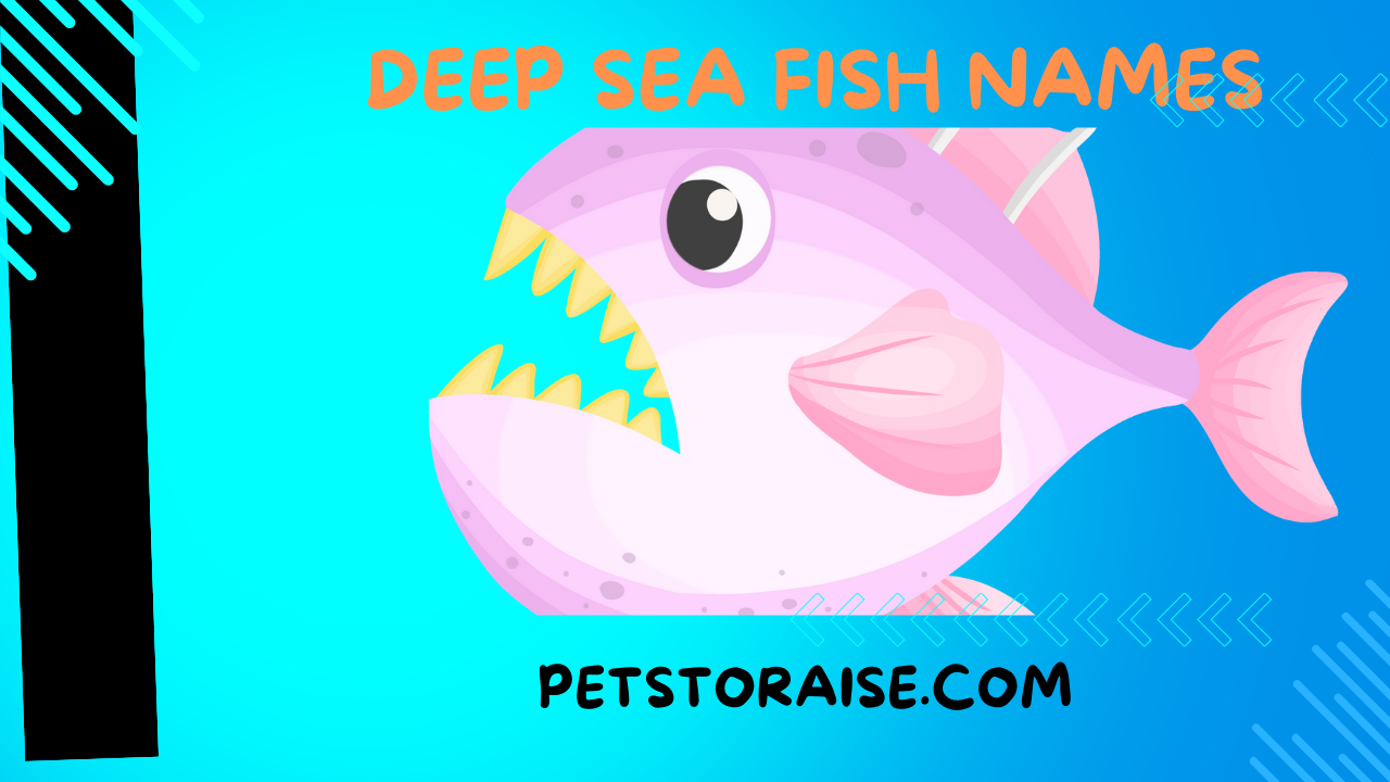 Deep Sea Fish Names