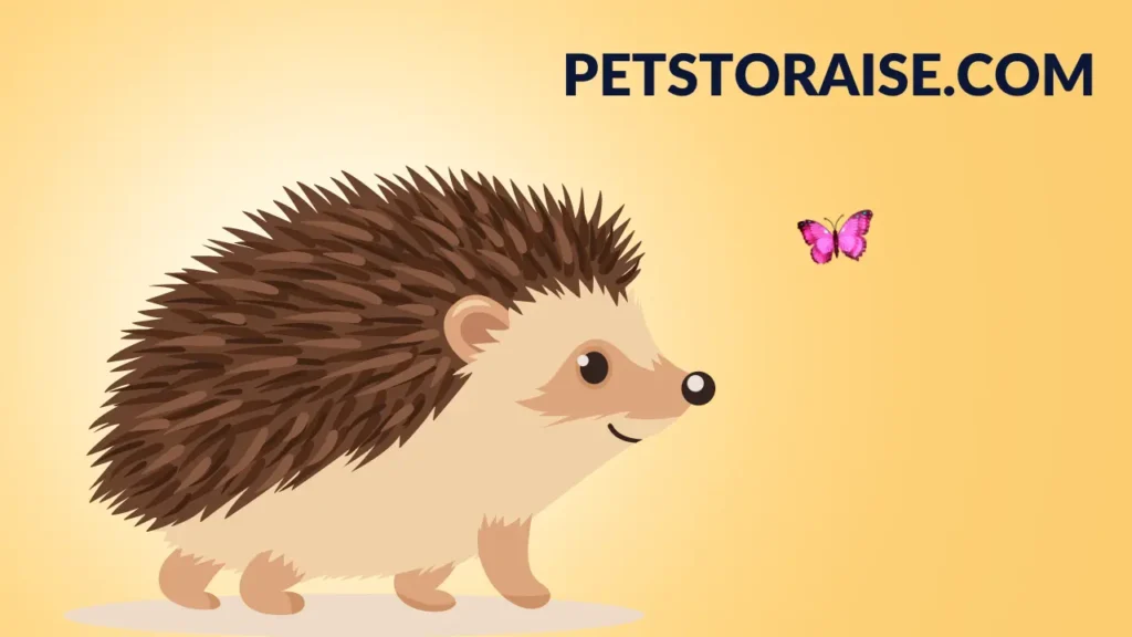 Hedgehog Names