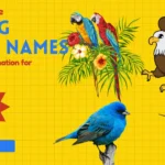 Flying Birds Names