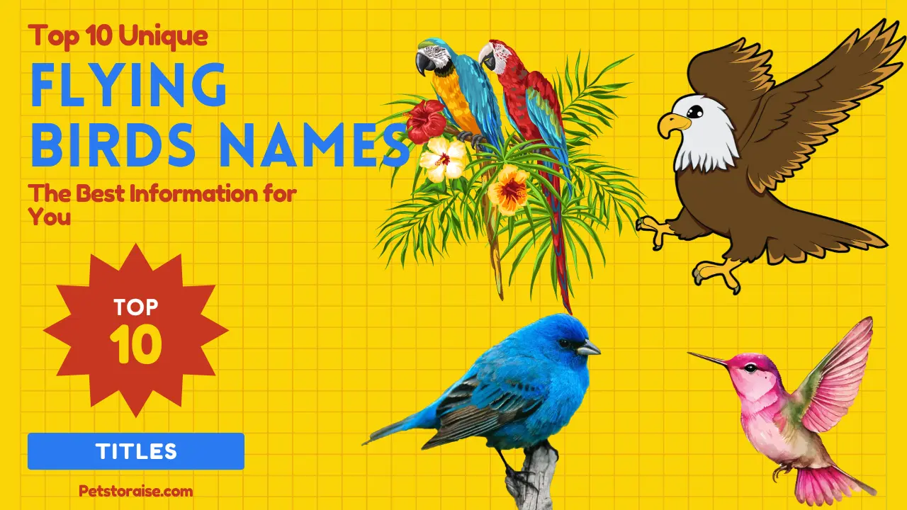 Flying Birds Names